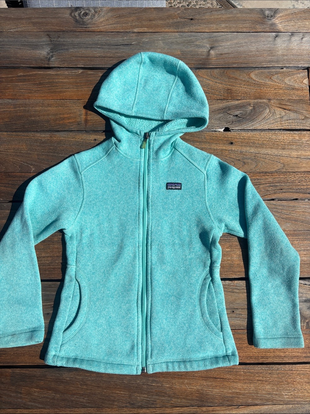 Patagonia Better Sweater Teal